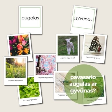 Lavinamoji užduočių knyga vaikams „Pavasaris“ (PDF)