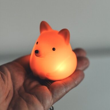 Mini naktinė LED lemputė „Laputė“